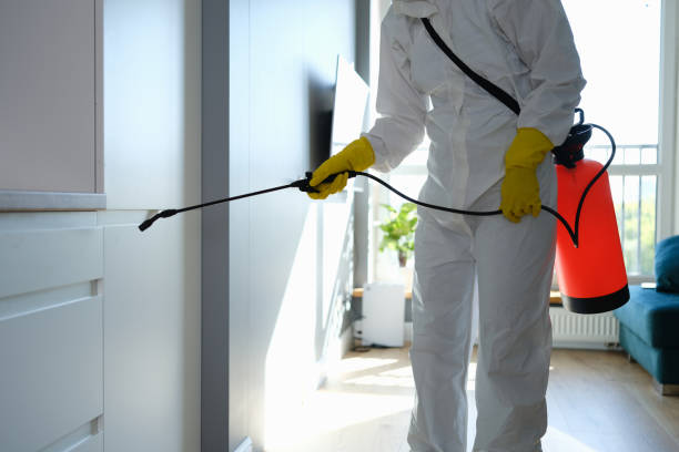 Best Mold Damage Repair  in Danvle, IL