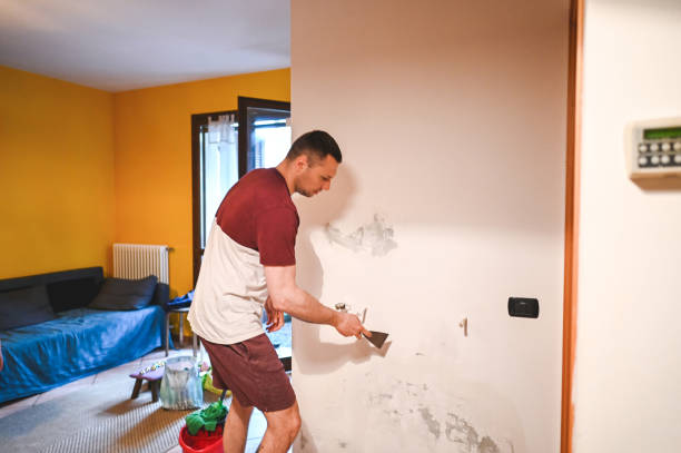 Best Water Damage Restoration  in Danvle, IL